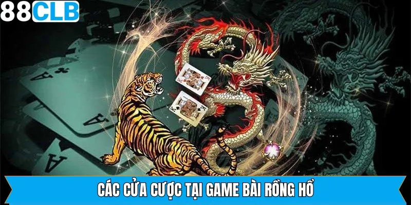 Một số cửa cược mà người chơi nhất định phải biết