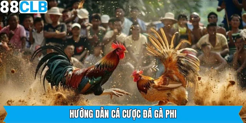 Thao tác trải nghiệm đá gà nhanh chóng