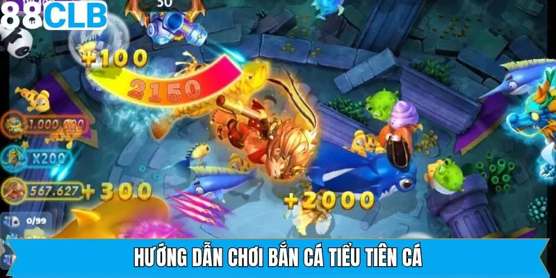 Chi tiết các bước trong quy trình ra khơi săn cá 