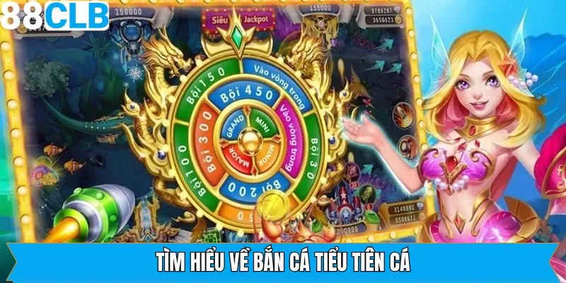 Khái quát đôi nét về bắn cá tiểu tiên cá 