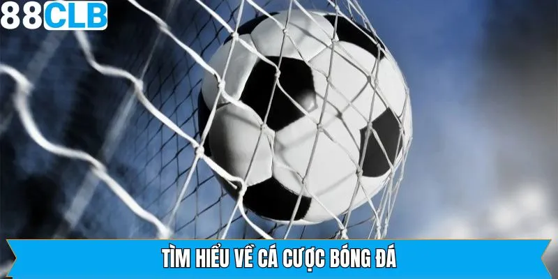 Tổng quan về sức hút đỉnh cao của game bóng đá
