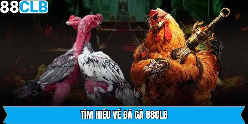 Đôi nét cơ bản về sảnh chơi đình đám 2025