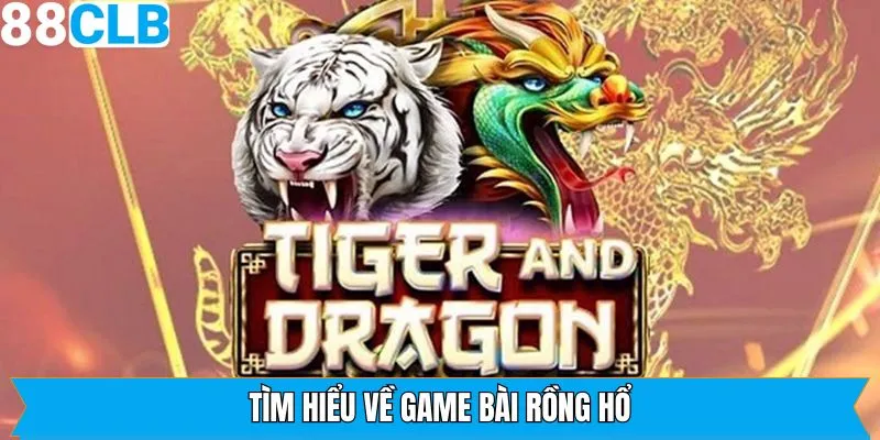 Khái quát đôi chút về rồng hổ của 88clb
